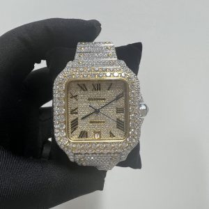 cartier model